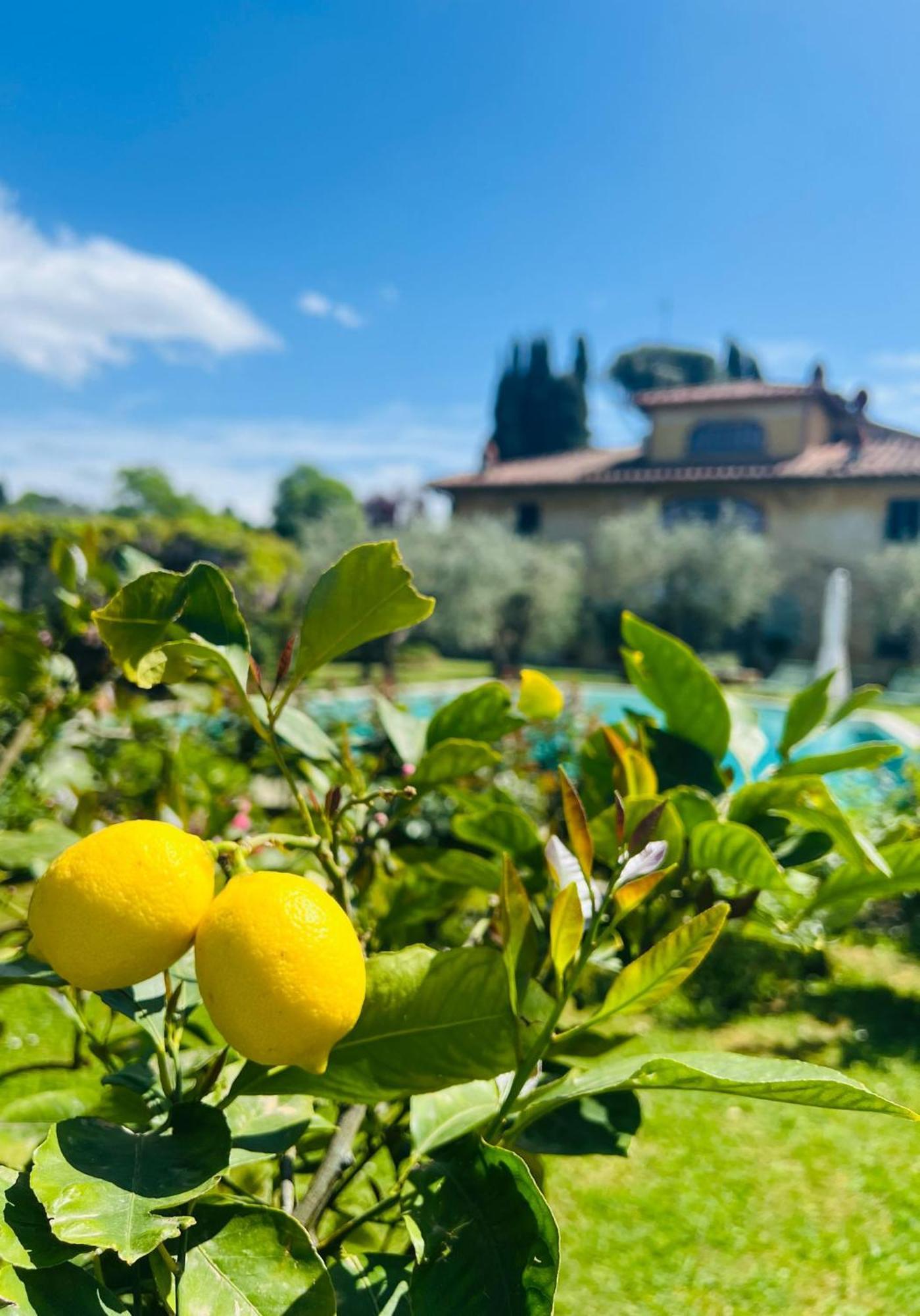Villa Giotto Florence Pozzolatico Exterior foto